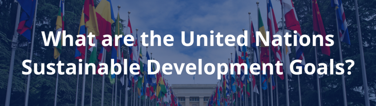 What are the United Nations Sustainable Development Goals?